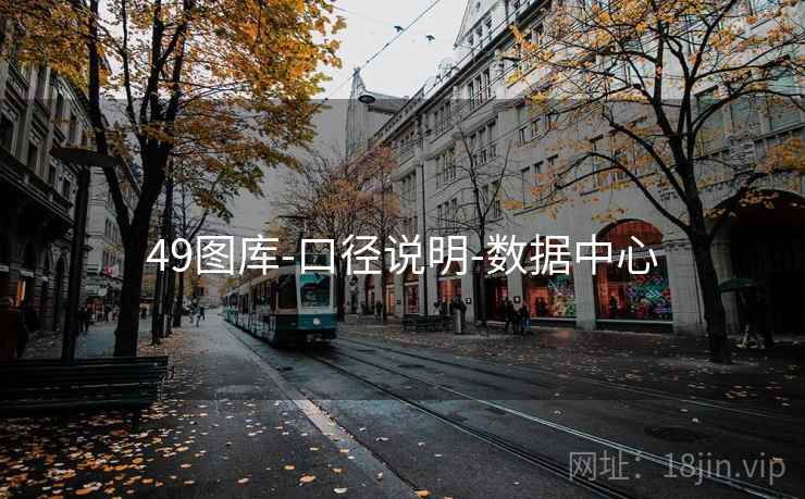 49图库-口径说明-数据中心 49图库-口径说明-数据中心
